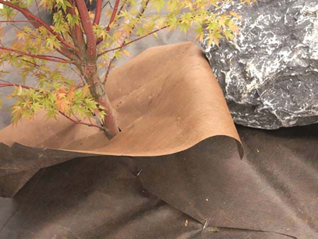 Plantex Gold 900X900 7 Plantex Gold 900X900 7