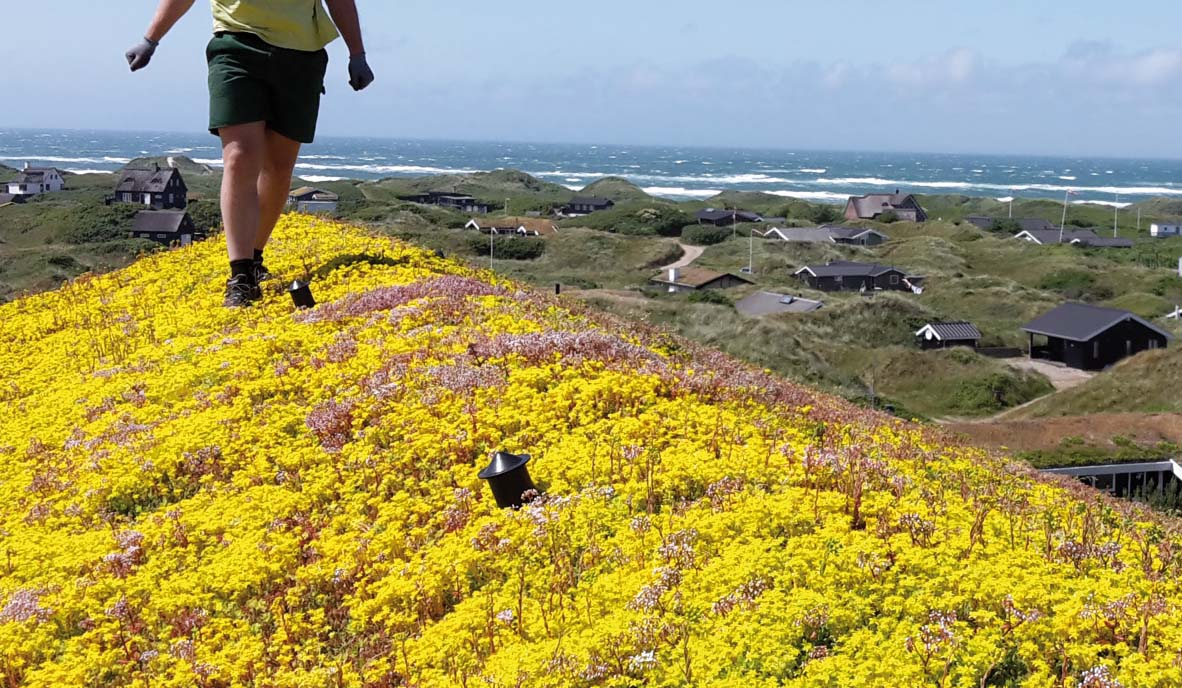 E Groenne Tage 1182X688px